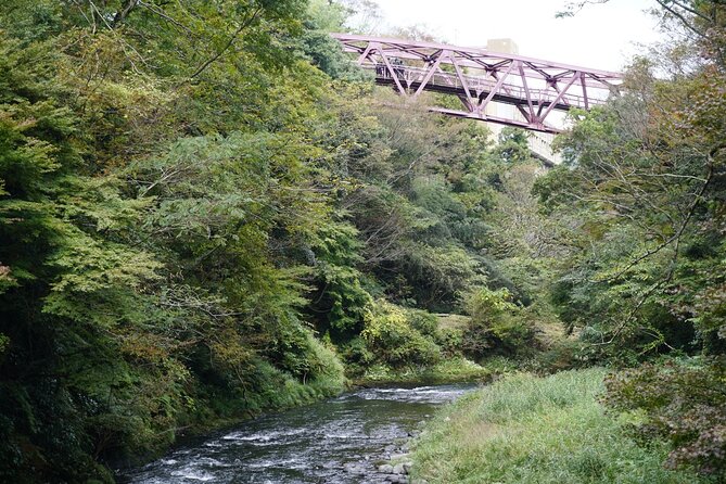 Kaga City Private 1 Day Photoshoot by Professional Photographer - Cancellation Terms and Conditions