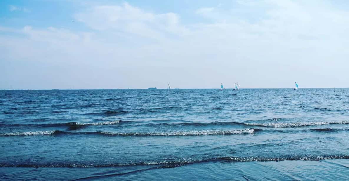 Kanto 10-Hour Chartered Day Trip| Izu - Important Considerations and Options