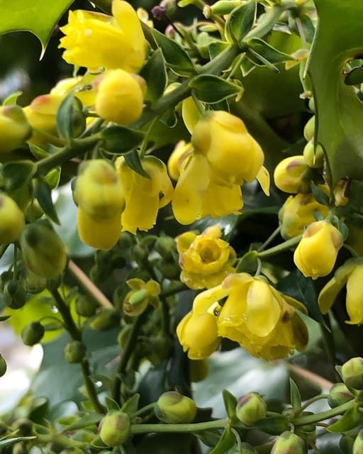 Kanto 10-Hour Chartered Day Trip|Hakone - Inclusions