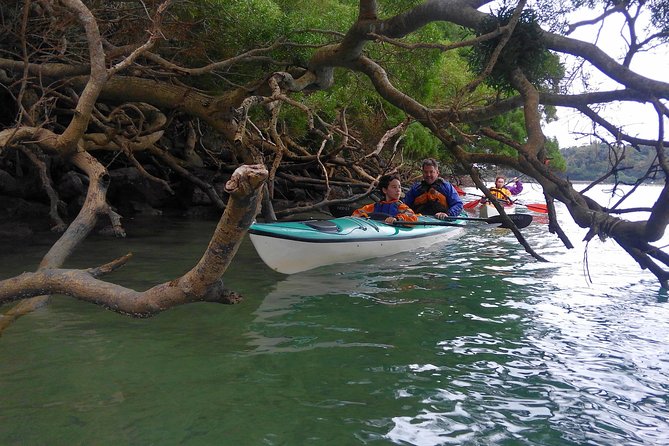 Kayak Mangroves or Coral Reef: Private Tour in North Okinawa - Additional Support and Information