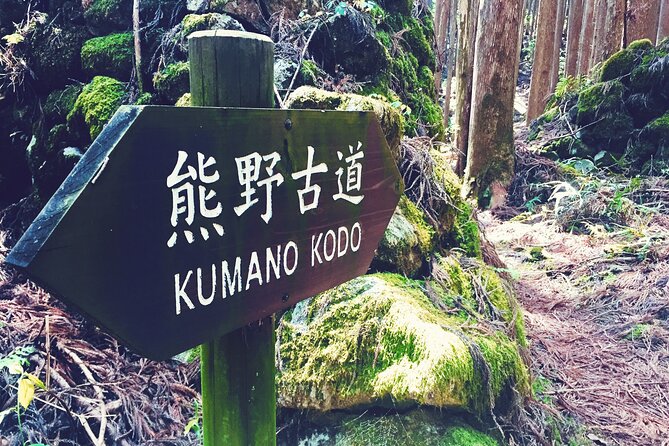 Kumano Kodo Pilgrimage Tour With Licensed Guide & Vehicle - Customer Reviews and Recommendations