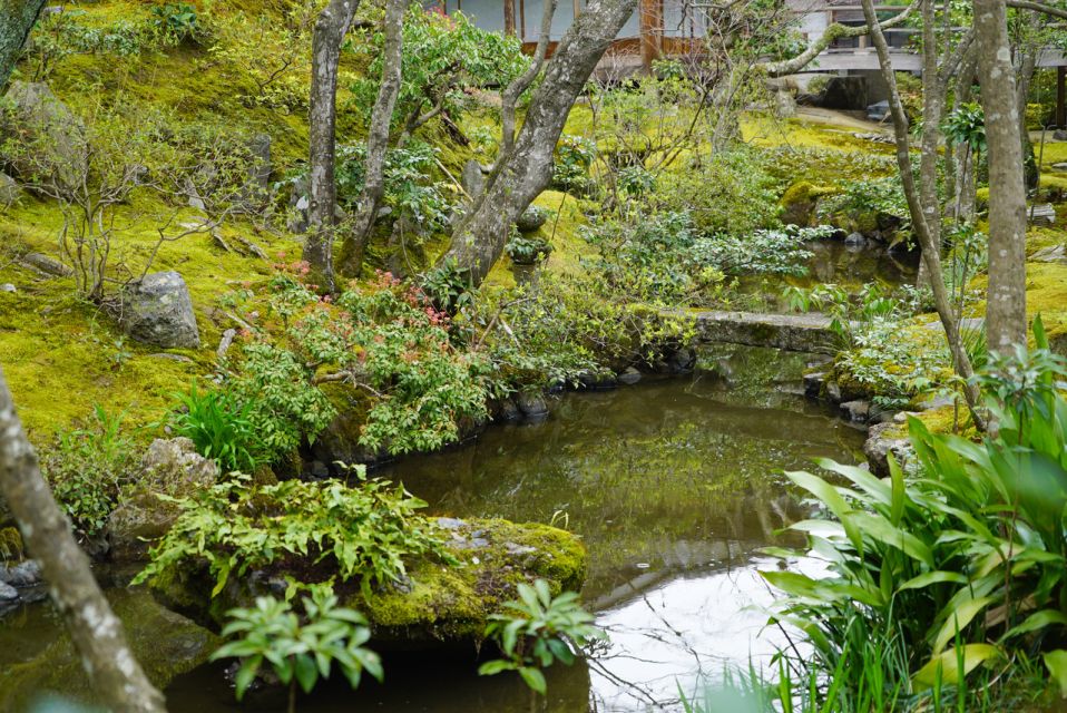 Kyoto: 5-Hour Arashiyama Walking Tour - Inclusions