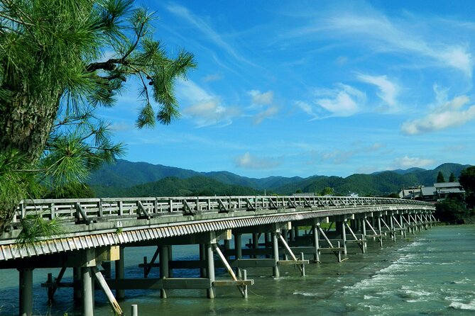 Kyoto 6hr Instagram Highlights Private Tour With Licensed Guide - Accessibility Information