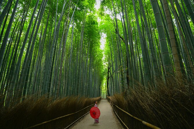 Kyoto: Arashiyama Bamboo, Temple, Matcha, Monkeys & Secret Spots - Traveler Photos