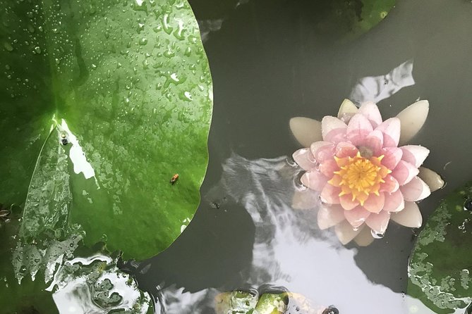 Kyoto: Descending Arashiyama (Private) - Cancellation Policy