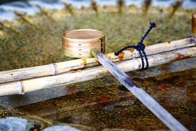 Kyoto Full Day Tour With a Local Travel Companion - Customer Support and Assistance