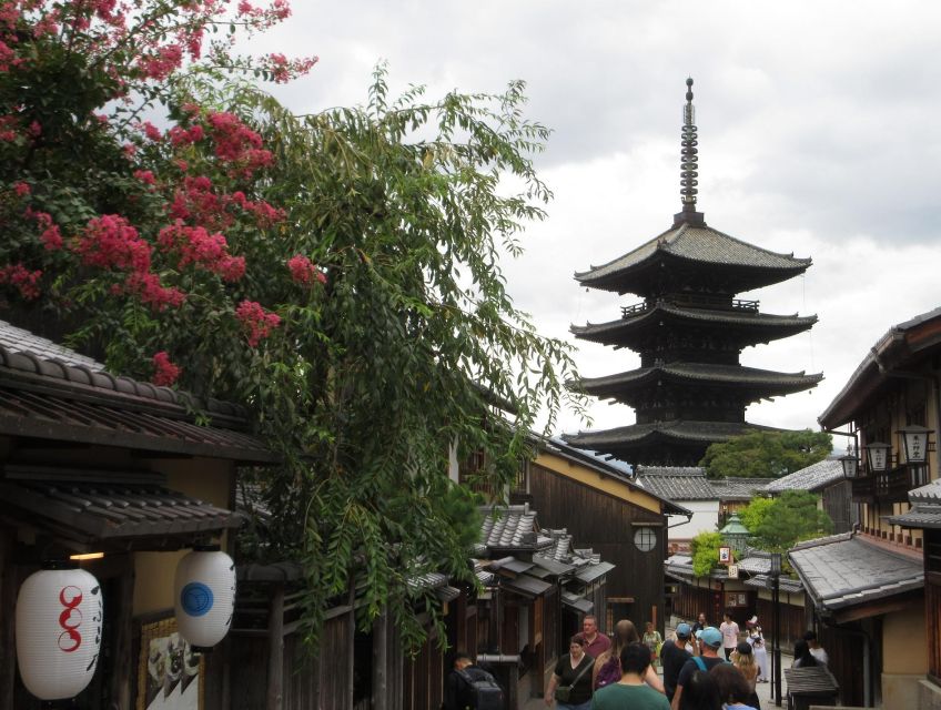 Kyoto-Nara: Giant Buddha, Deer, Pagoda, Geisha (Italian) - Experience and Interactions