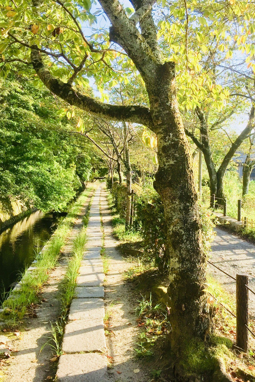 Kyoto: Private Guided Tour of Temples and Shrines - Inclusions