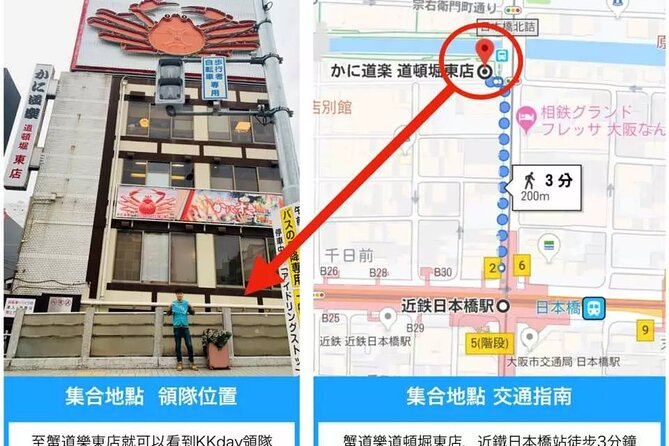 Kyoto Suburb Day Tour From Osaka - Tour Guide Information