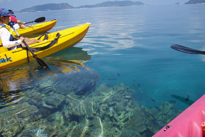 Lets Go to a Desert Island of Kerama Islands on a Sea Kayak - Weather Contingency