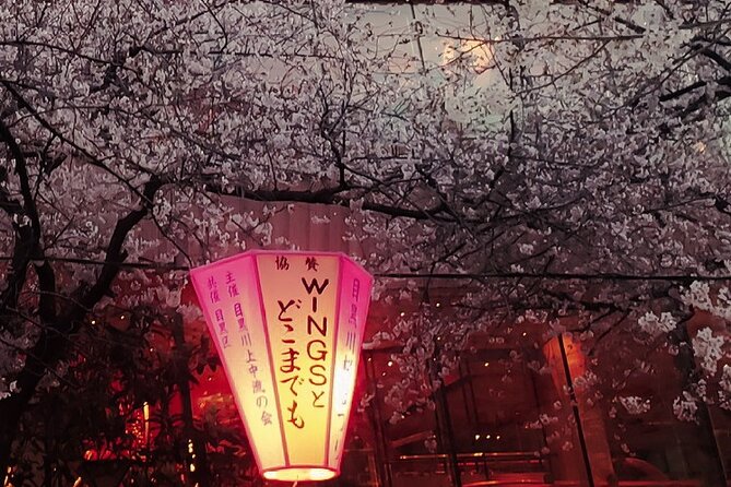 Licensed Guide Tokyo Meguro Cherry Blossom Walking Tour - Pricing and Company Details