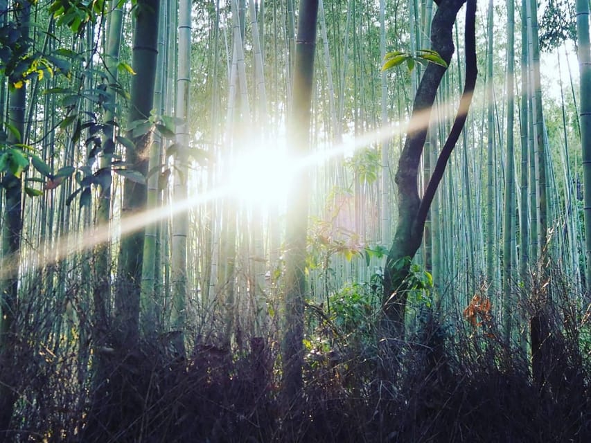 Lux Kyoto Taxi Tour W/Govt Licenced MBA Guide Photographer - Reservation Information