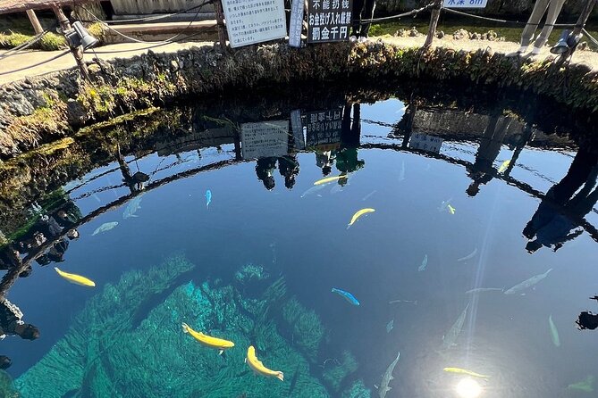 Mt. Fuji and Lake Kawaguchi Day Trip With English Speaking Driver - Cancellation Policy Details