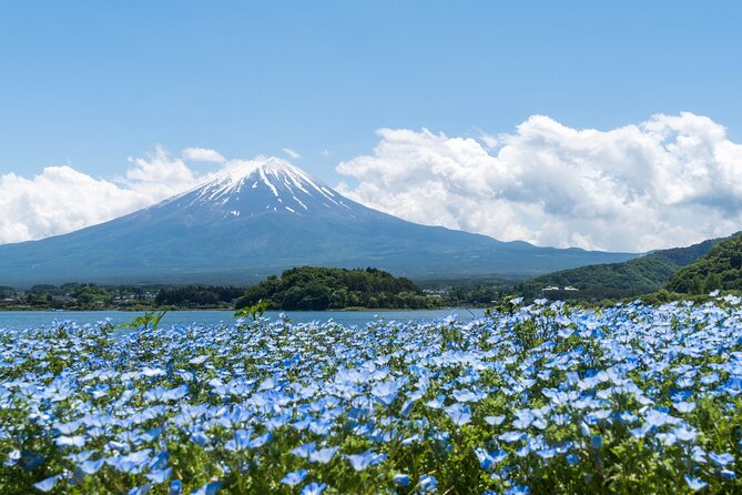 Mt. Fuji Day Trip Bus Tour From Tokyo - Booking and Cancellation Policy