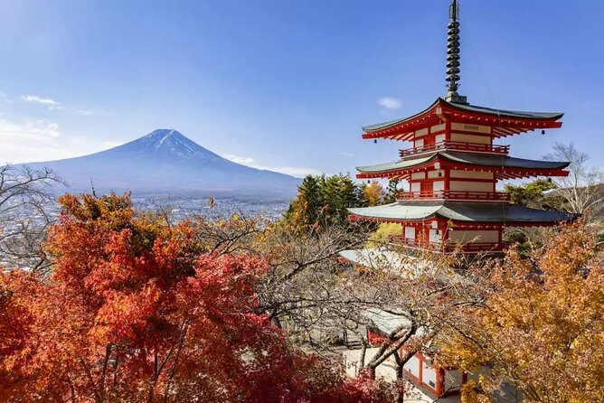 Mt. Fuji Majestic Tours : Shinjuku to Arakurayama and Beyond - Return to Shinjuku