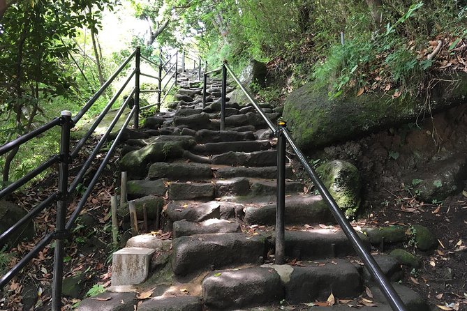 Mt Nokogiri Private Full-Day Hike From Narita 2024 - Customer Reviews