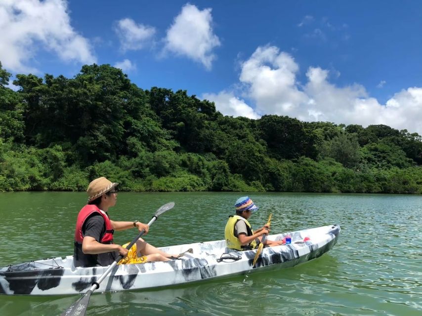 Okinawa: Mangrove Kayaking Tour - Customer Reviews and Ratings