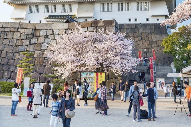 Osaka Cherry Blossom Tour With a Local: 100% Personalized Private - Sightseeing Spots
