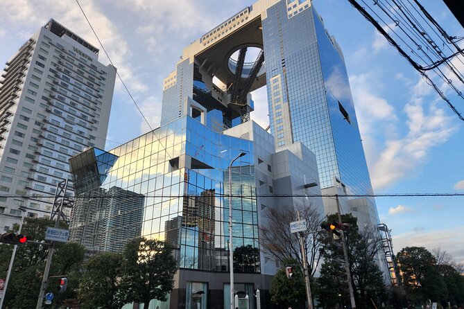Osaka City Highlights Tour! - Shopping Hotspots
