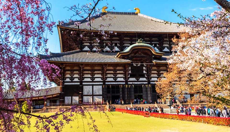Osaka: Nara, Todaiji, Matcha Experience and Hot Spring Tour - Important Information
