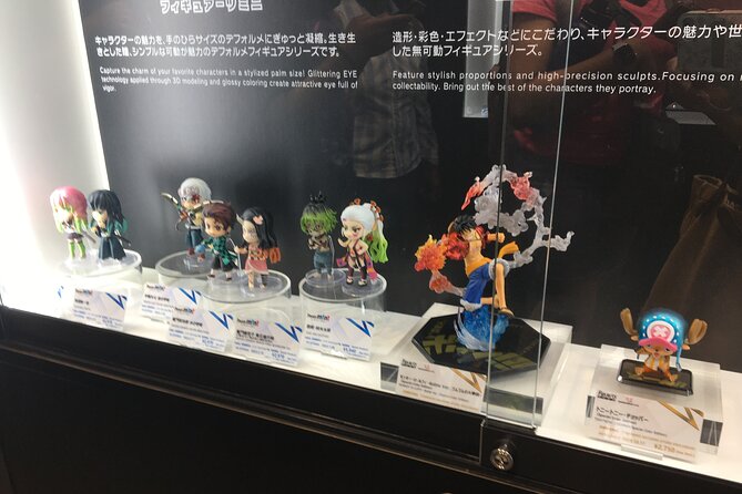 Private Akihabara Anime Guided Walking Tour - Tour Details