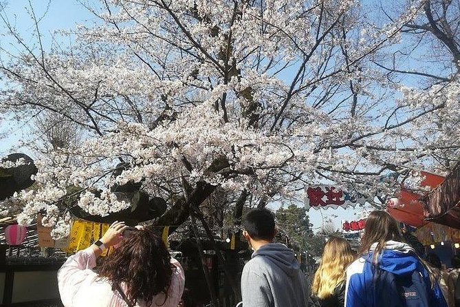 Private Full-Day Cherry-Blossom Tour of Tokyo With Tsukiji - Booking Information