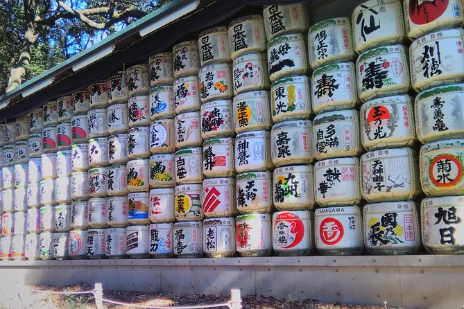 Private Guide Tour in Tokyo Half Day - Exclusive Tokyo Experience