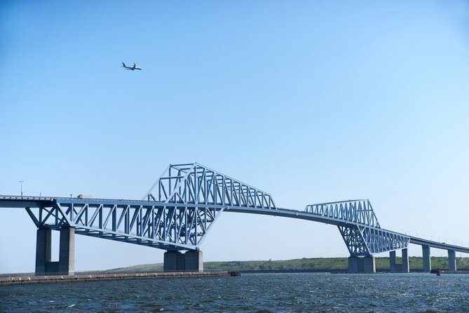 Private Haneda Airport (HND) to Central Tokyo City Transfer - Health Considerations and Private Exclusivity