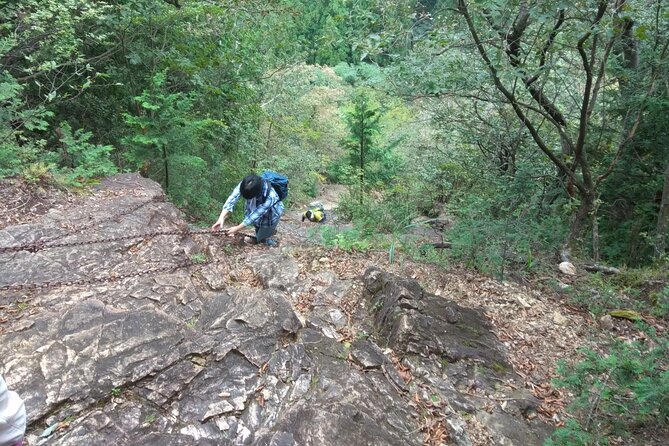 Private Hiking Activity Near Tokyo - Important Expectations
