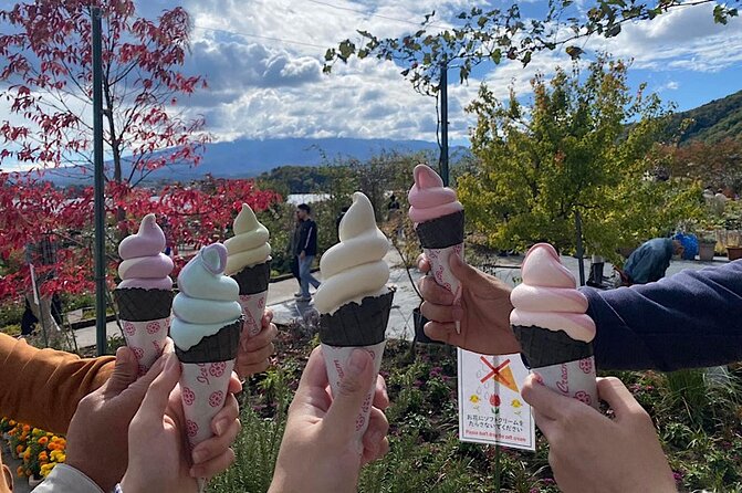 Private Mount Fuji and Hakone Sightseeing Day Trip With Guide - Customer Feedback and Testimonials