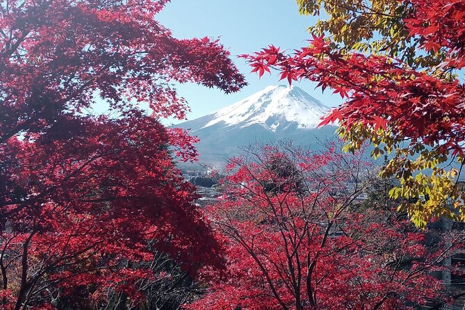 Private Sedan One-Day Mount Fuji Tour - Mount Fuji Experience