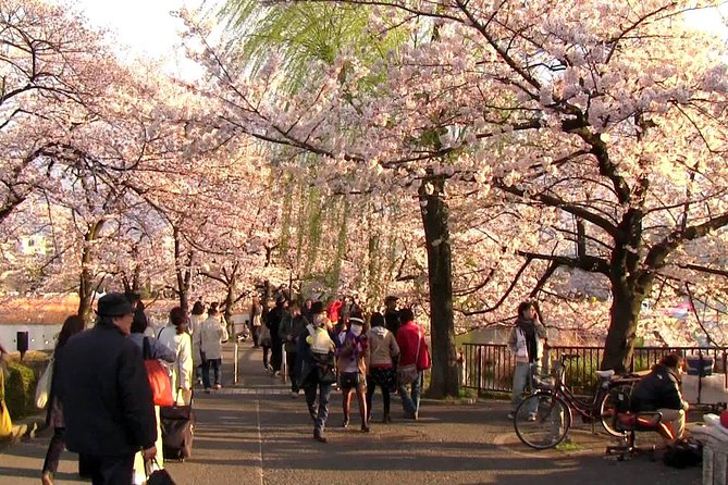 [Private] Tokyo Personalized Tour (Guide Only) - Additional Details