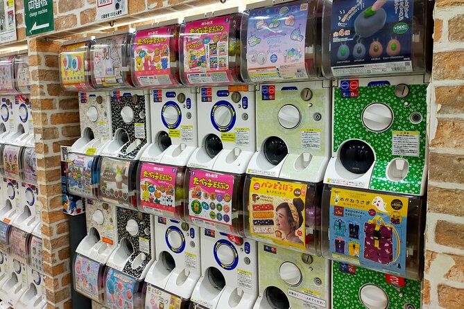 Private Tour Akihabara Adventure Explore Tokyos Electric Town - In-Depth Tour Details