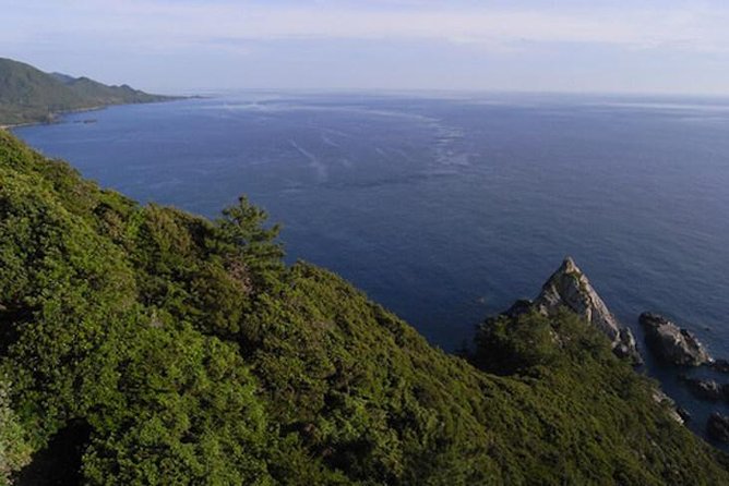 Private Tour: Full-Day Walking Tour With Professional Local Guide in Yakushima Island - Pricing and Inclusions
