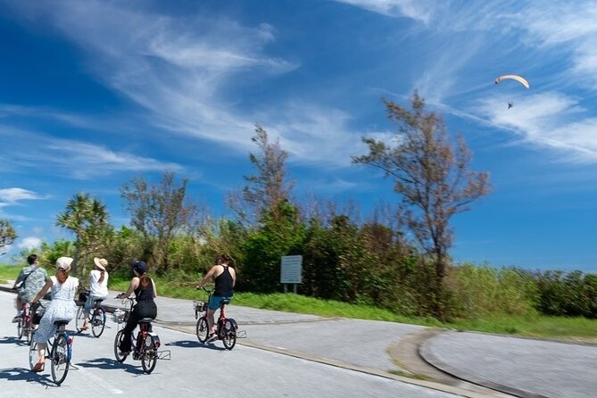 Remote Island Ryukyu Culture Experience Tour in Okinawa - Traditional Ryukyu Activities