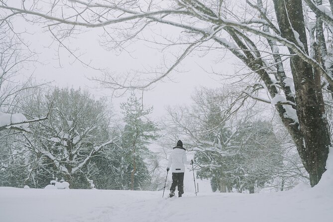 Shared Snowshoe Hiking Tour in Semboku - Customer Reviews