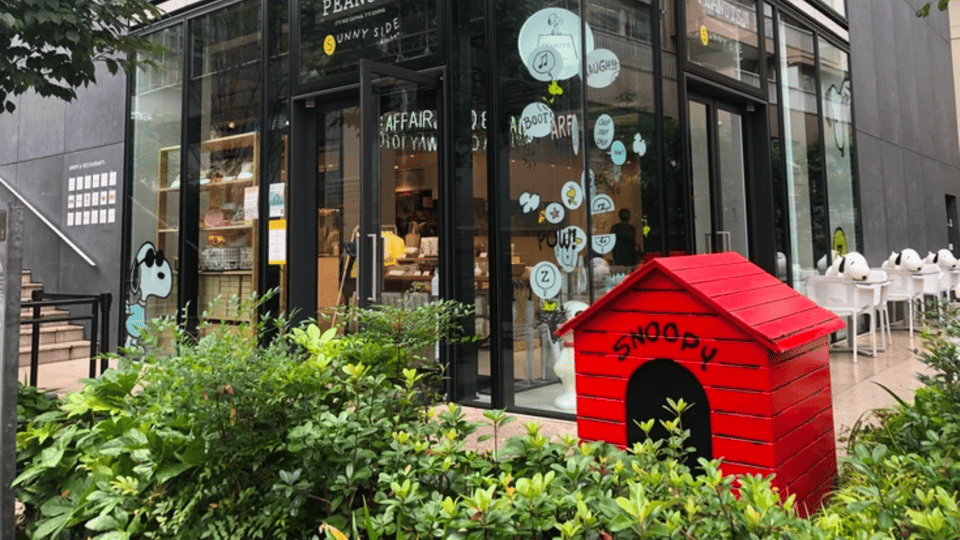 Shibuya & Harajuku Exploring Hidden Gems & Highlights Tour - Inclusions in the Tour Package