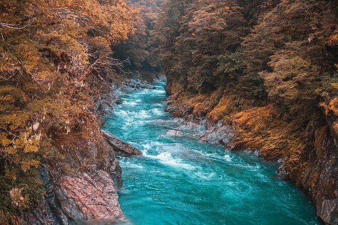 Snow Monkey, Zenko Ji Temple, Sake in Nagano Tour - Sake Tasting Experience