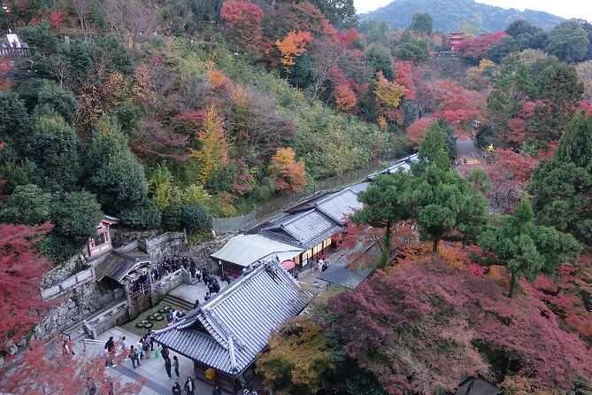 The Original Early Bird Tour of Kyoto. - Cancellation Policy
