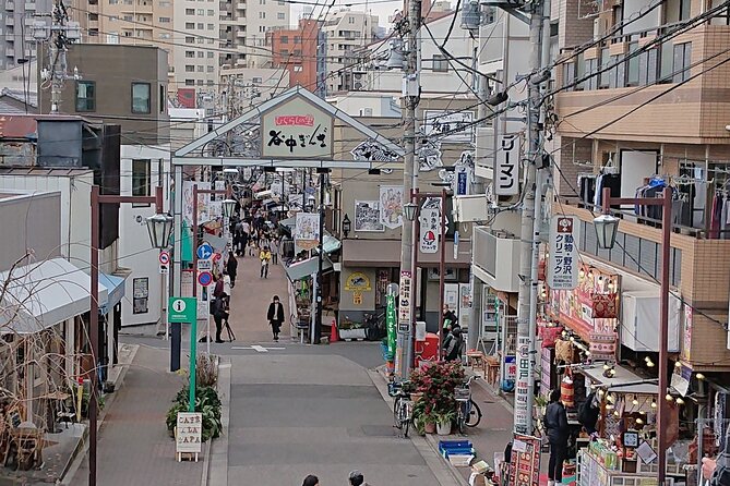 Tokyo 7-Hour Free Choice Tour - Tour Guide Services