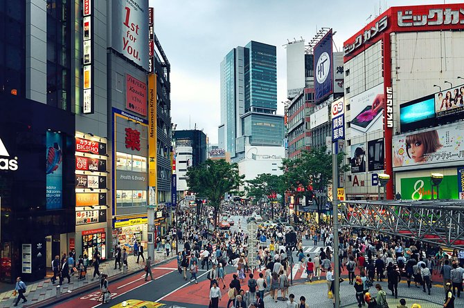 Tokyo Customizable Full-Day Private Tour (Mar ) - Tour Inclusions