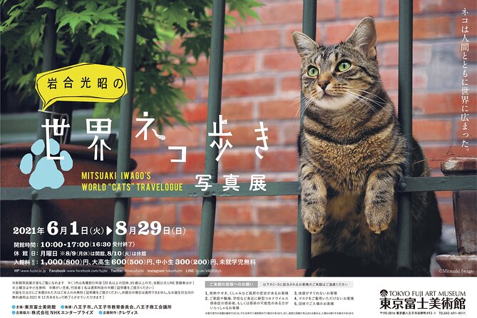 Tokyo Fuji Art Museum Admission Ticket Special Exhibition (When Being Held) - Additional Information