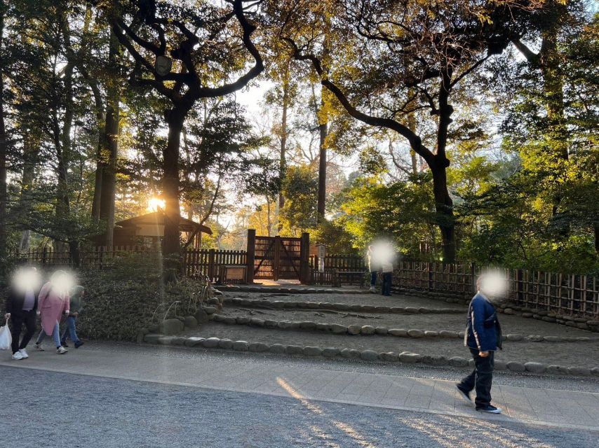 Tokyo Harajuku Meiji Jingu Shrine 1h Walking Tour - Booking Information