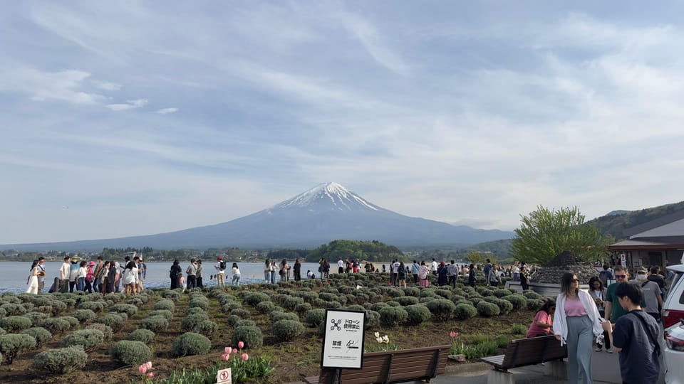 Tokyo: Mt. Fuji and Lake Kawaguchi Private Tour - Important Information