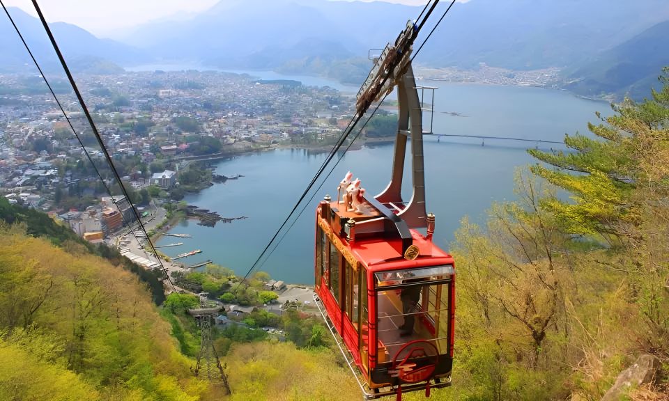 Tokyo: Mt. Fuji Festival, Ropeway, & Fruit Picking Day Trip - Meeting Point Information