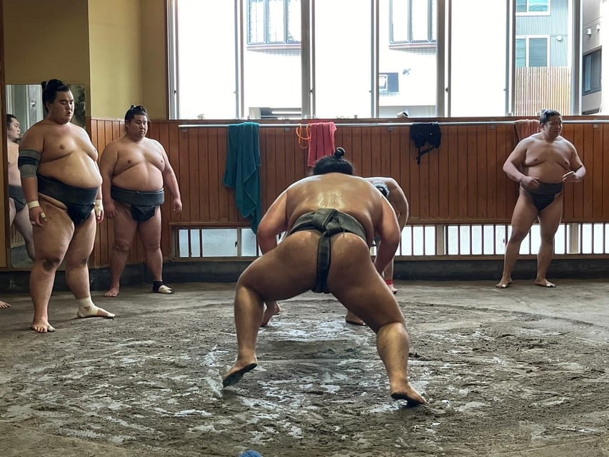Tokyo: Visit Sumo Morning Practice With English Guide - Review Summary