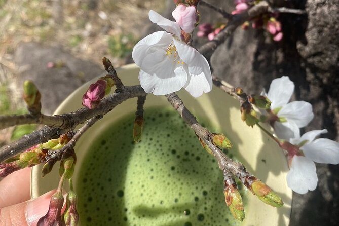Tour of Antique Shops, Cultural Stores Known Only to the Locals - Cancellation Policy