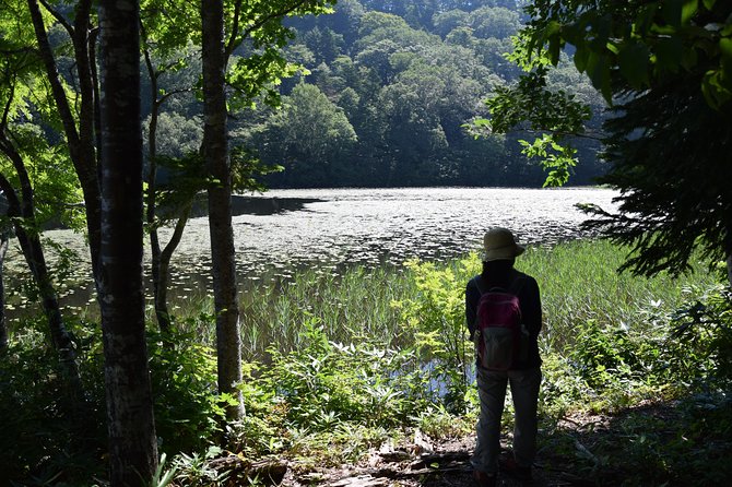 Towards the Quiet Unexplored Pond, Naganuma Guided Walk - Included Rental Equipment
