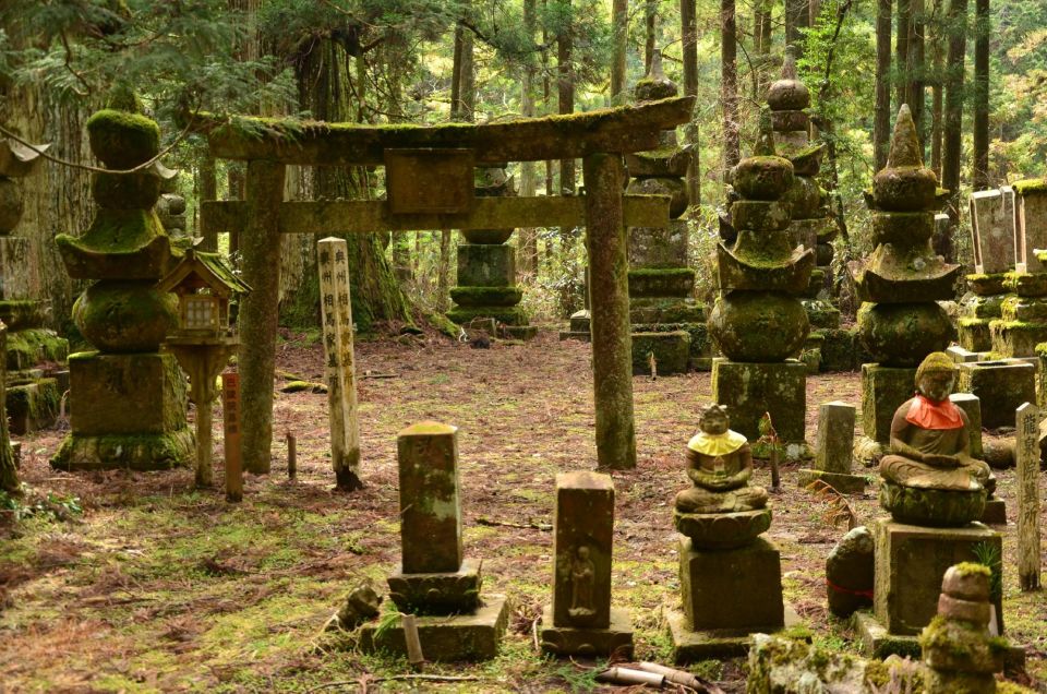 Wakayama: Mt. Koya Private Walking Tour With Local Guide - Tour Experience Highlights
