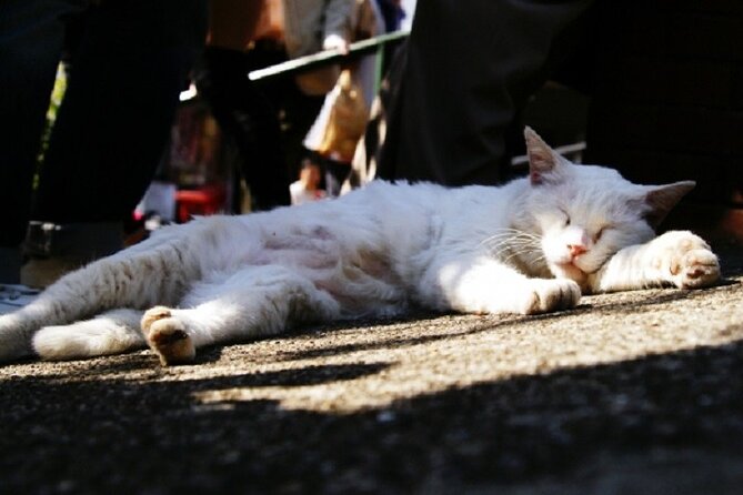Yanaka Guided Walking Tour With Topography Expert - Directions and Meeting Point